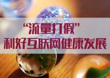 不得開展人肉搜索、流量造假等違法活動