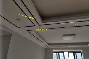 客廳及走廊的吊頂