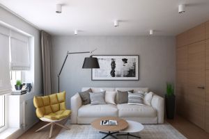 单身公寓装修风格分类