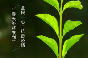 春暖花開裝飾