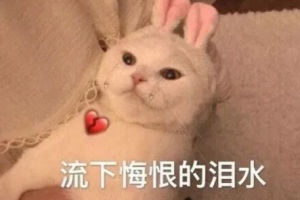 億路達(dá)裝飾