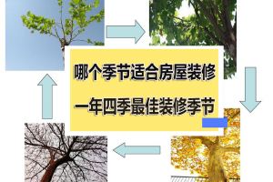 重庆和泓四季装修案例