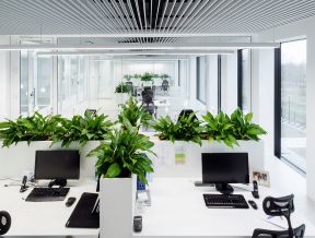 绿植装饰效果图 办公室装修的风格