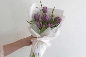 烏魯木齊城市人家裝飾