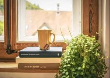 吳江植物能凈化室內(nèi)空氣嗎？每平米放100棵也許有用！