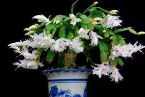 三個(gè)臥室三種風(fēng)格