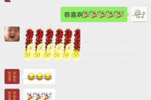 木多多裝飾