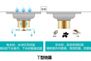 卫生间异味如何去除