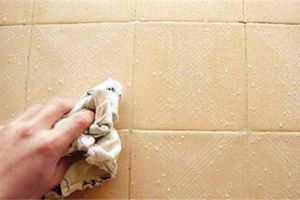 瓷砖清洁方法