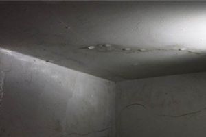 衛(wèi)生間地漏水怎么辦