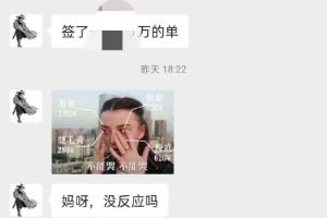 墻角數(shù)枝梅的下一句