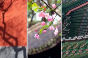 杭州裝飾一級(jí)企業(yè)