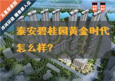 泰安碧桂園黃金時(shí)代好不好 泰安碧桂園黃金時(shí)代怎么樣