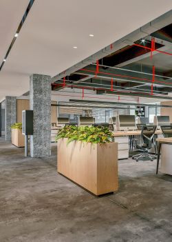 上海浦东新区软件完美体育APP下载公司办公室装筑案例