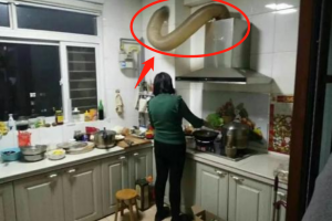 簽了裝修合同不想裝了