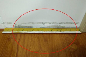 大連環(huán)境好的小區(qū)排名