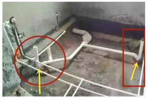 發(fā)現(xiàn)行者裝飾
