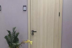 室內(nèi)裝修木門顏色