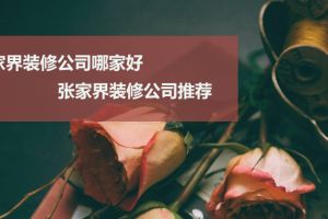 张家界口碑好的装修公司