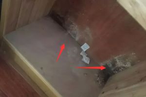 為什么榻榻米不實(shí)用