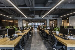 辦公室適宜放些什么植物