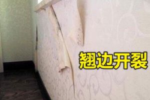 大連客廳裝修