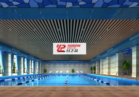2000平米东区游泳馆现代风格装修案例
