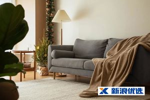 新浪優(yōu)選樣板間