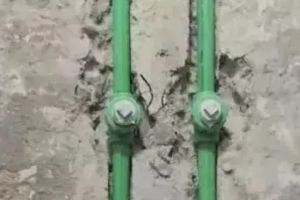時間也耗進(jìn)去了，效果卻不盡如意。