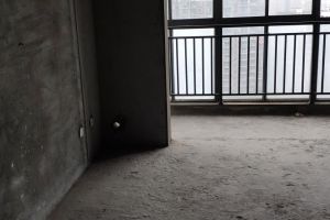 明日之后公主房