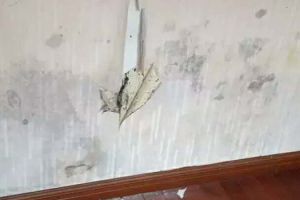 墻面發(fā)霉處理