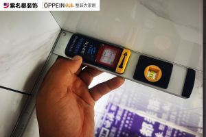 金科天璽342平裝修