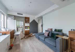 40平方米小户型公寓沙发装修效果图