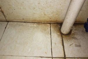 卫生间地砖缝怎么处理