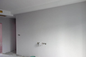 墙面材料、硅藻泥、乳胶漆颜色