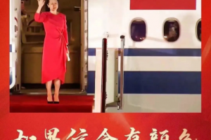 中國(guó)傳統(tǒng)裝飾紋樣