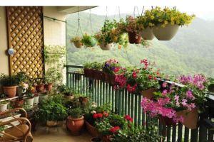 阳台如何打花园