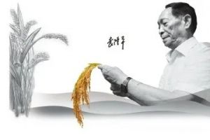 希望小學