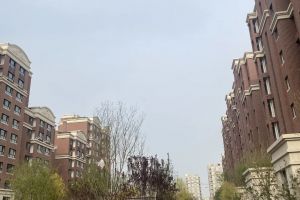 考察裝修公司