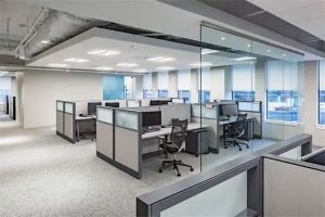 辦公室適宜放些什么植物