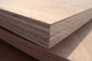 木板多少钱一平方