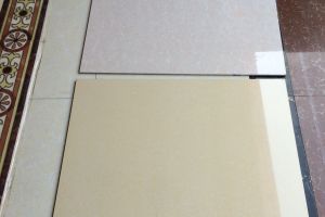貴陽紫蘋果