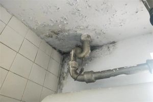 房顶漏水怎么处理
