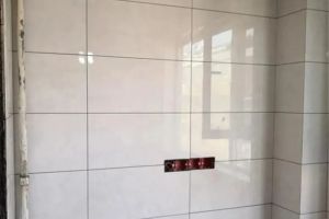 7層電梯洋房