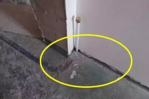 暗衛(wèi)裝修技巧