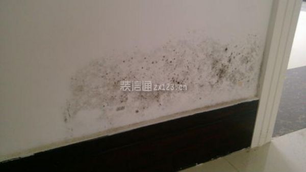 舊房常見問題