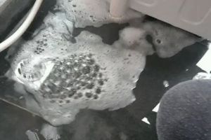 心而惟裝飾