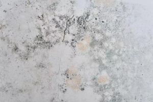 常見(jiàn)的墻面裝飾材料