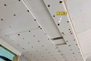 臨沂家裝平棚吊頂