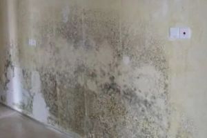 卫生间墙壁渗水